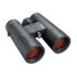 Bushnell Engage X 10×42
